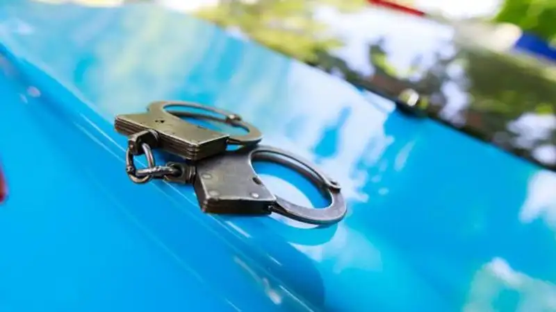 Два года тюрьмы грозит двум жителям Туркестанской области за выращивание конопли