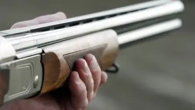 Новая Кубань, фото - Новости Zakon.kz от 06.09.2018 11:36