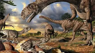 Zakon.kz, фото - Новости Zakon.kz от 01.09.2017 16:10