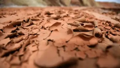 Wang Bo / Xinhua / Globallookpress.com, фото - Новости Zakon.kz от 26.02.2018 07:39