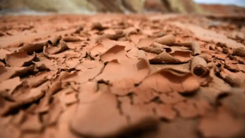 Названы сроки освоения Марса и влияние на это Илона Маска