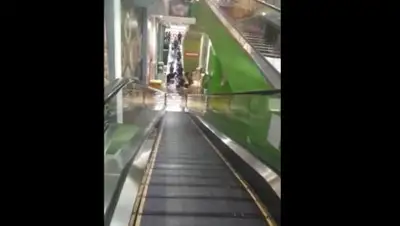 YouTube, фото - Новости Zakon.kz от 22.07.2018 17:57