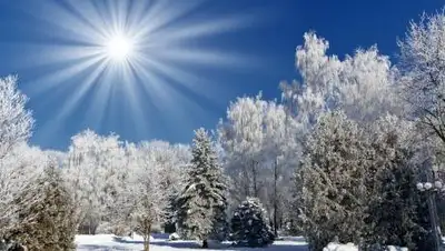 zakon.kz., фото - Новости Zakon.kz от 21.03.2021 06:42