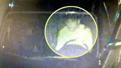 kmib.co.kr, фото - Новости Zakon.kz от 12.10.2019 15:44