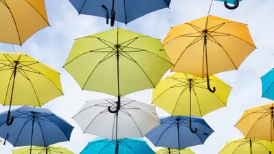 FoxTime, фото - Новости Zakon.kz от 09.07.2019 09:24