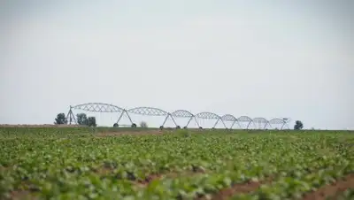 Пресс-служа акима Павлодарской области, фото - Новости Zakon.kz от 22.06.2018 10:19
