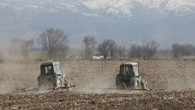 Планируется исключение чрезмерной регламентации в сфере агропромышленного комплекса, фото - Новости Zakon.kz от 17.04.2023 12:01