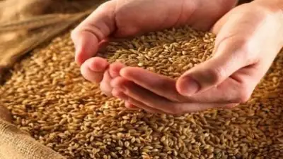 Zakon.kz, фото - Новости Zakon.kz от 13.06.2016 23:34