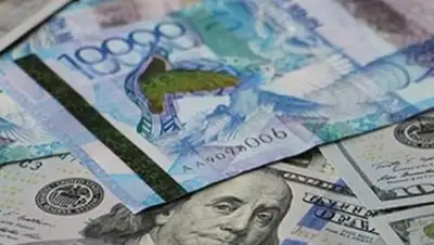 mail.kz, фото - Новости Zakon.kz от 20.08.2018 16:56