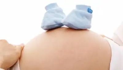 pixabay, фото - Новости Zakon.kz от 29.09.2021 06:19