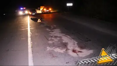 zakon.kz, фото - Новости Zakon.kz от 04.12.2019 10:49