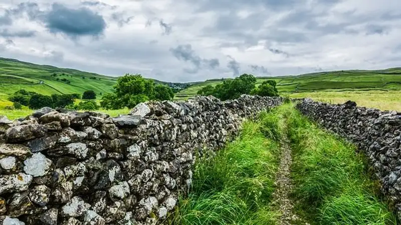 Экологи предупредили об угрозе  "катастрофического коллапса" в Великобритании
