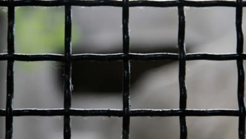 Туристку, рассказавшую о сексуальных домогательствах в Египте, посадили в тюрьму