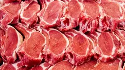 Zakon.kz, фото - Новости Zakon.kz от 03.09.2016 21:28