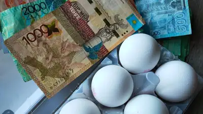 Яйца продолжают стремительно дорожать в Казахстане, фото - Новости Zakon.kz от 10.11.2023 14:42