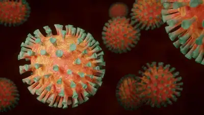 Вирус, омикром-штамм