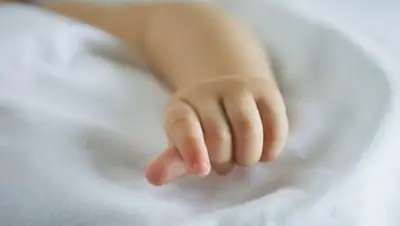 Zakon.kz, фото - Новости Zakon.kz от 13.11.2016 15:43