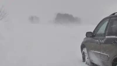 cheltv.ru, фото - Новости Zakon.kz от 18.01.2020 18:18