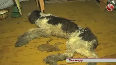 Zakon.kz, фото - Новости Zakon.kz от 29.07.2015 06:31