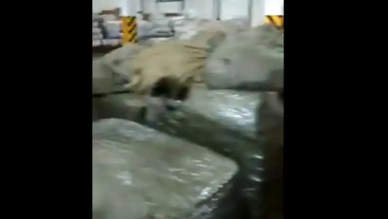 Оборудование для майнинга криптовалюты хотели ввезти в Казахстан