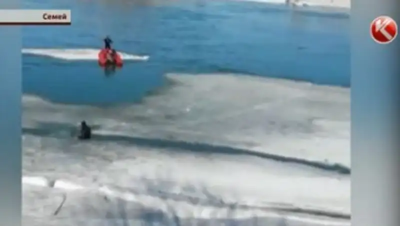 Семейские спасатели эвакуировали рыбаков с отколовшейся льдины