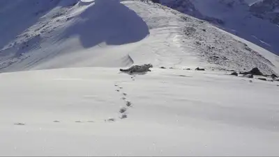 Zakon.kz, фото - Новости Zakon.kz от 26.01.2015 15:51