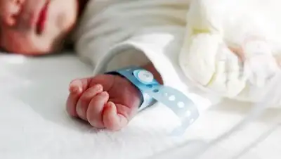 Detki.co.il, фото - Новости Zakon.kz от 22.02.2018 10:26