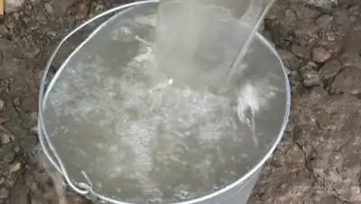 Zakon.kz, фото - Новости Zakon.kz от 11.07.2017 15:38