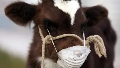 Zakon.kz, фото - Новости Zakon.kz от 11.12.2014 23:54