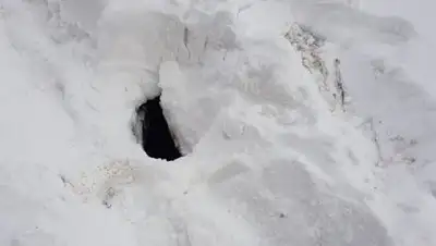 Facebook, фото - Новости Zakon.kz от 28.11.2018 16:26