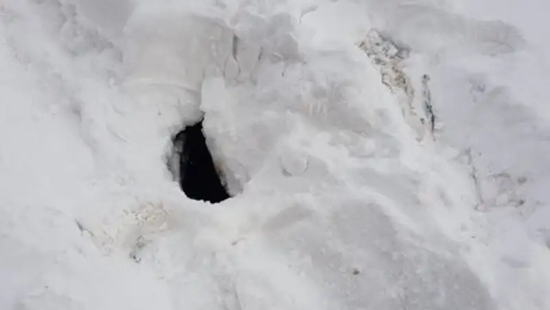 В Астане еще один человек упал в открытый люк