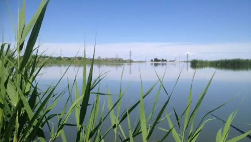 Как правильно вести себя на водоемах летом