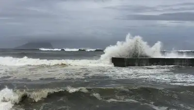 Zakon.kz, фото - Новости Zakon.kz от 10.07.2016 02:19