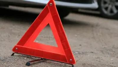 moe-online.ru, фото - Новости Zakon.kz от 20.12.2019 20:20