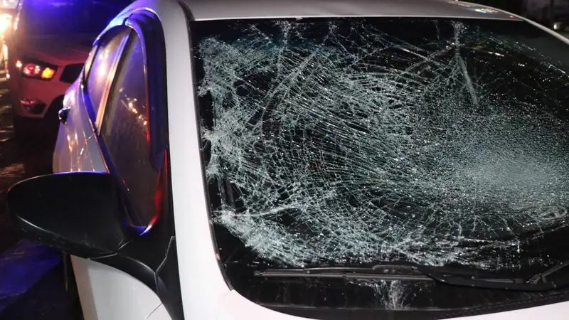 На трассе в Павлодарской области сбили мужчину