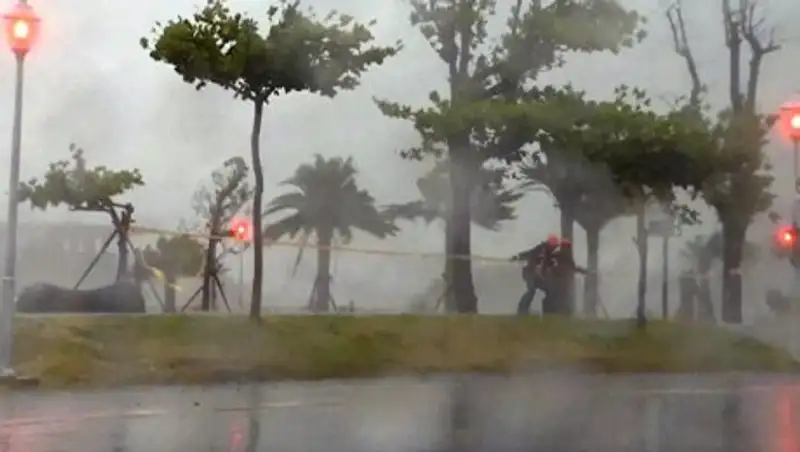 На востоке КНР эвакуированы 230 тысяч человек из-за тайфуна "Непартак"