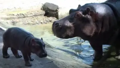 Zakon.kz, фото - Новости Zakon.kz от 14.09.2015 23:34