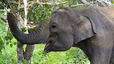 Zakon.kz, фото - Новости Zakon.kz от 08.09.2015 22:44