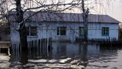 Zakon.kz, фото - Новости Zakon.kz от 10.04.2015 00:04