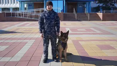 В Костанайской области помогла найти грабителя, фото - Новости Zakon.kz от 22.03.2023 18:51