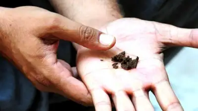 Zakon.kz, фото - Новости Zakon.kz от 06.03.2016 03:00