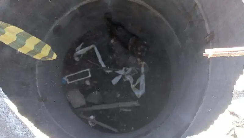 В Риддере спасатели помогли собаке, попавшей в колодец