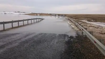 Zakon.kz, фото - Новости Zakon.kz от 24.04.2017 14:57