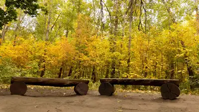 В Алматы отремонтируют два сквера, фото - Новости Zakon.kz от 30.03.2023 12:40