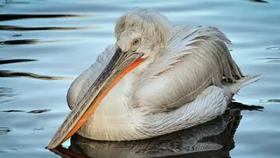Zakon.kz, фото - Новости Zakon.kz от 05.05.2016 19:47
