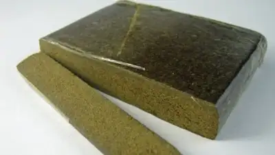 Zakon.kz, фото - Новости Zakon.kz от 26.04.2017 12:42