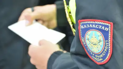 ИАЦ МГУ, фото - Новости Zakon.kz от 04.07.2019 14:21