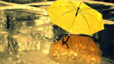 Zakon.kz, фото - Новости Zakon.kz от 03.04.2017 12:00