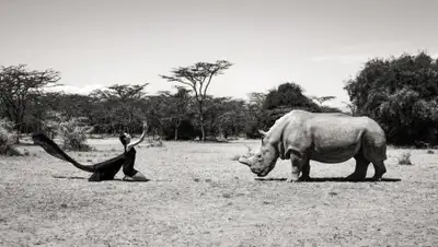 bigpikcha.ru, фото - Новости Zakon.kz от 23.10.2019 16:57