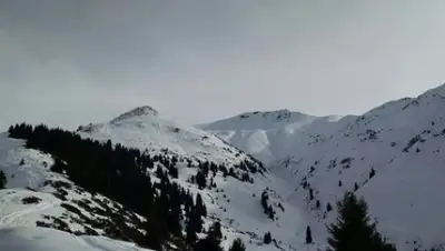 Zakon.kz, фото - Новости Zakon.kz от 02.02.2015 03:24